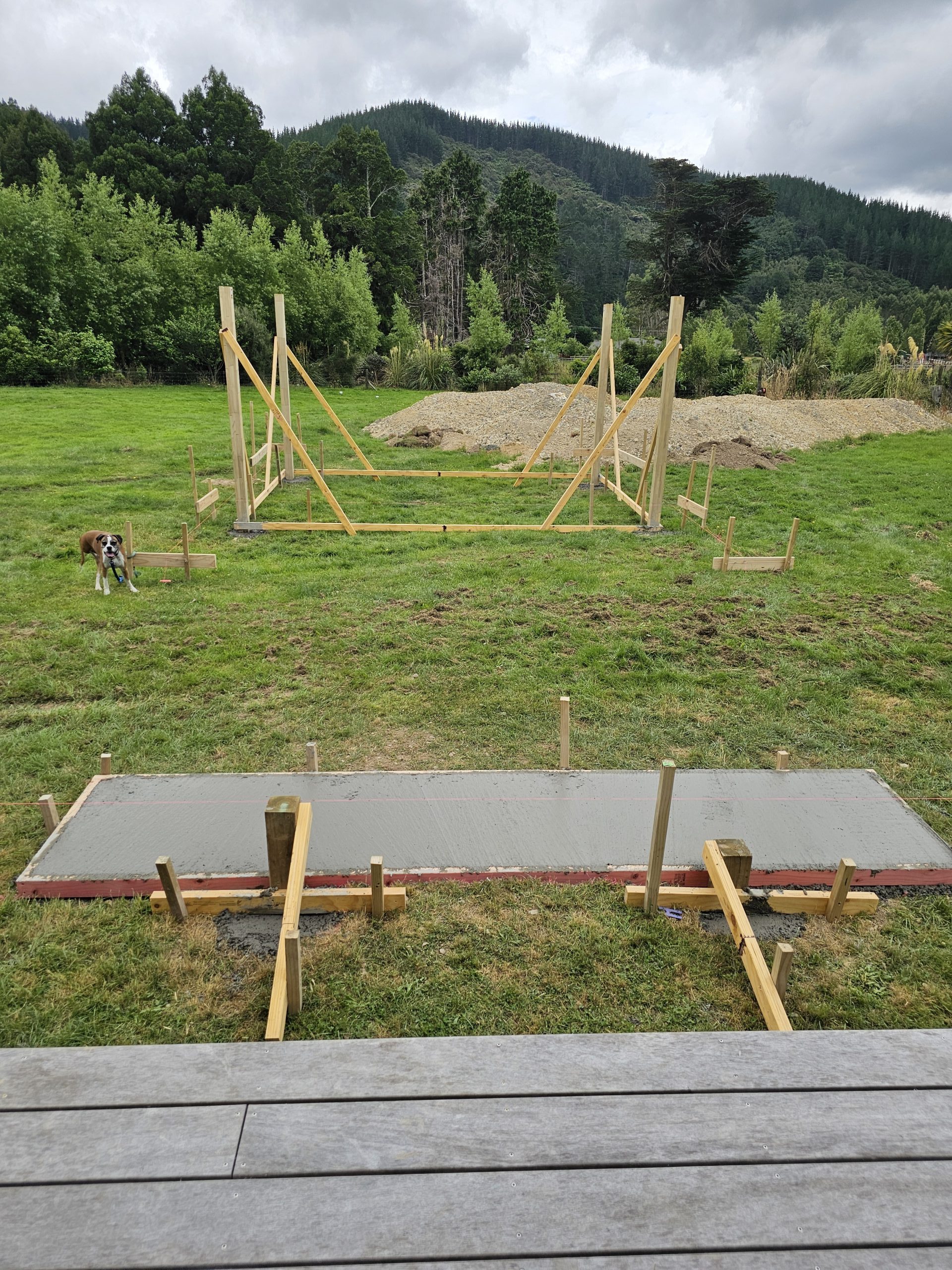 Wellington landscape design before